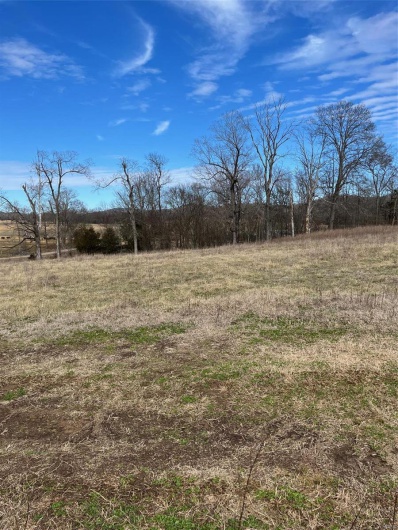 0 Highway N Angus Lane 1, Patterson, Missouri 63956, 3 Bedrooms Bedrooms, 6 Rooms Rooms,2 BathroomsBathrooms,Farm,For Sale,Highway N Angus Lane 1,MAR25013664