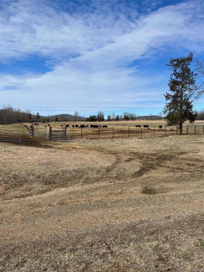 0 Highway N Angus Lane 1, Patterson, Missouri 63956, 3 Bedrooms Bedrooms, 6 Rooms Rooms,2 BathroomsBathrooms,Farm,For Sale,Highway N Angus Lane 1,MAR25013664