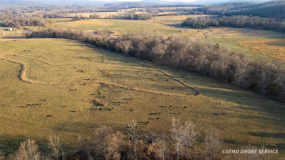 0 Highway N Angus Lane 1, Patterson, Missouri 63956, 3 Bedrooms Bedrooms, 6 Rooms Rooms,2 BathroomsBathrooms,Farm,For Sale,Highway N Angus Lane 1,MAR25013664