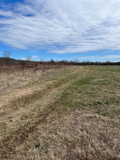 0 Highway N Angus Lane 1, Patterson, Missouri 63956, 3 Bedrooms Bedrooms, 6 Rooms Rooms,2 BathroomsBathrooms,Farm,For Sale,Highway N Angus Lane 1,MAR25013664