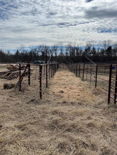 0 Highway N Angus Lane 1, Patterson, Missouri 63956, 3 Bedrooms Bedrooms, 6 Rooms Rooms,2 BathroomsBathrooms,Farm,For Sale,Highway N Angus Lane 1,MAR25013664
