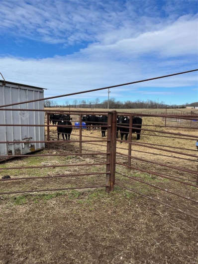 0 Highway N Angus Lane 1, Patterson, Missouri 63956, 3 Bedrooms Bedrooms, 6 Rooms Rooms,2 BathroomsBathrooms,Farm,For Sale,Highway N Angus Lane 1,MAR25013664