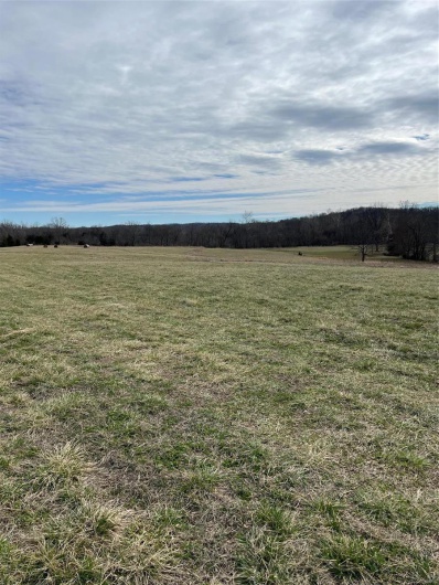 0 Highway N Angus Lane 1, Patterson, Missouri 63956, 3 Bedrooms Bedrooms, 6 Rooms Rooms,2 BathroomsBathrooms,Farm,For Sale,Highway N Angus Lane 1,MAR25013664