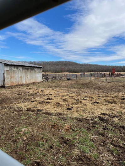 0 Highway N Angus Lane 1, Patterson, Missouri 63956, 3 Bedrooms Bedrooms, 6 Rooms Rooms,2 BathroomsBathrooms,Farm,For Sale,Highway N Angus Lane 1,MAR25013664
