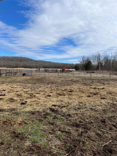 0 Highway N Angus Lane 1, Patterson, Missouri 63956, 3 Bedrooms Bedrooms, 6 Rooms Rooms,2 BathroomsBathrooms,Farm,For Sale,Highway N Angus Lane 1,MAR25013664