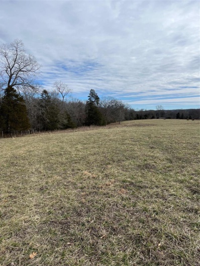 0 Highway N Angus Lane 1, Patterson, Missouri 63956, 3 Bedrooms Bedrooms, 6 Rooms Rooms,2 BathroomsBathrooms,Farm,For Sale,Highway N Angus Lane 1,MAR25013664