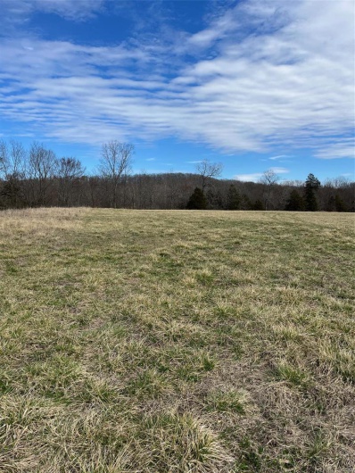 0 Highway N Angus Lane 1, Patterson, Missouri 63956, 3 Bedrooms Bedrooms, 6 Rooms Rooms,2 BathroomsBathrooms,Farm,For Sale,Highway N Angus Lane 1,MAR25013664
