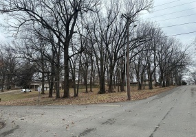 0 Lewis & Albert Street, Dexter, Missouri 63841, ,Land,For Sale,Lewis & Albert,MAR25013843