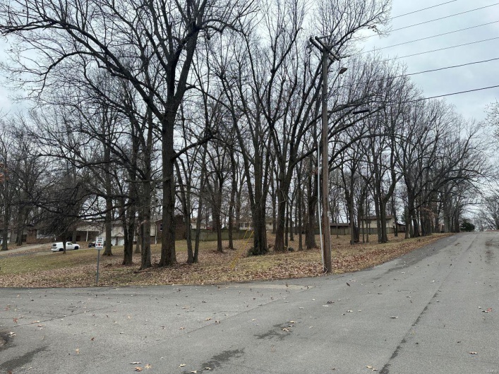 0 Lewis & Albert Street, Dexter, Missouri 63841, ,Land,For Sale,Lewis & Albert,MAR25013843