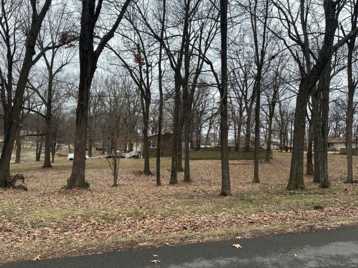 0 Lewis & Albert Street, Dexter, Missouri 63841, ,Land,For Sale,Lewis & Albert,MAR25013843