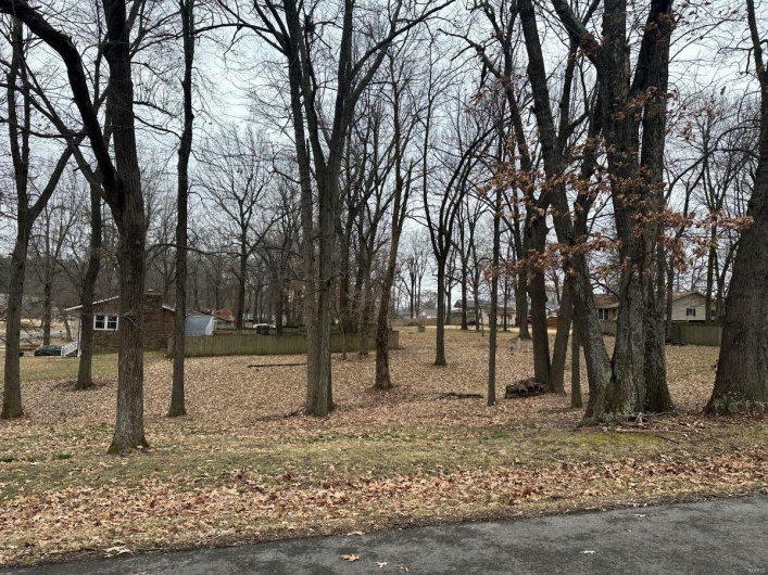 0 Lewis & Albert Street, Dexter, Missouri 63841, ,Land,For Sale,Lewis & Albert,MAR25013843