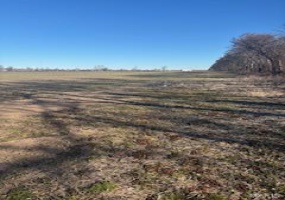 0 County HWY 544, Sikeston, Missouri 63801, ,Farm,For Sale,County HWY 544,MAR25013765