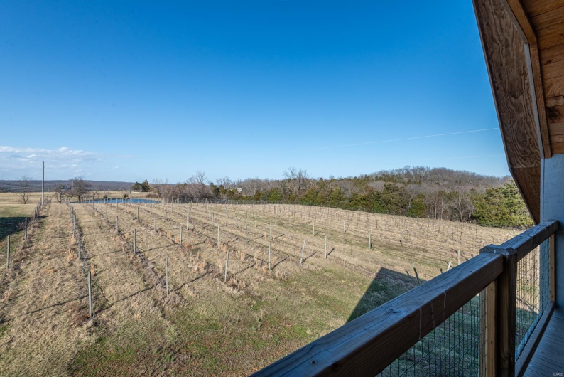 24345 State Rte WW, Ste Genevieve, Missouri 63670, 3 Bedrooms Bedrooms, 8 Rooms Rooms,3 BathroomsBathrooms,Residential,For Sale,State Rte WW,MAR25014107