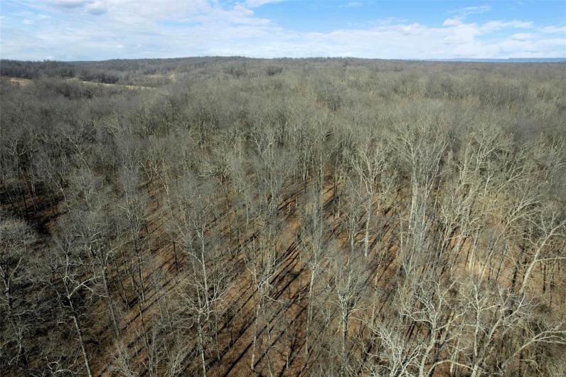292 Cotoneaster Lane, Jackson, Missouri 63755, ,Land,For Sale,Cotoneaster,MAR25014189