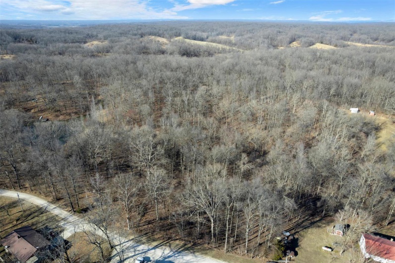 292 Cotoneaster Lane, Jackson, Missouri 63755, ,Land,For Sale,Cotoneaster,MAR25014189