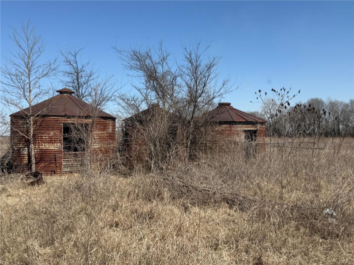 0 County 442 Road, Kennett, Missouri 63857, ,Farm,For Sale,County 442,MAR25014333