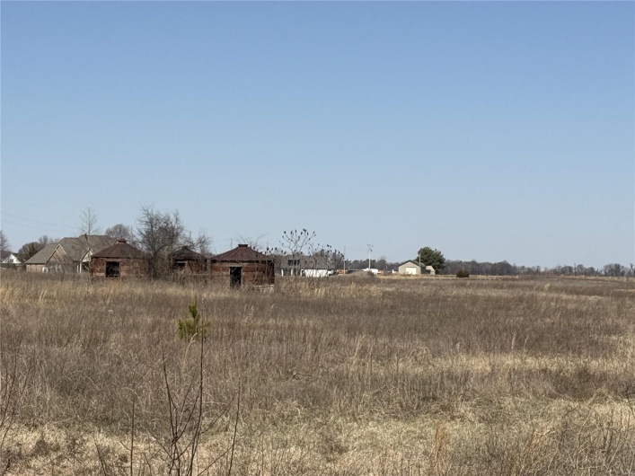 0 County 442 Road, Kennett, Missouri 63857, ,Farm,For Sale,County 442,MAR25014333