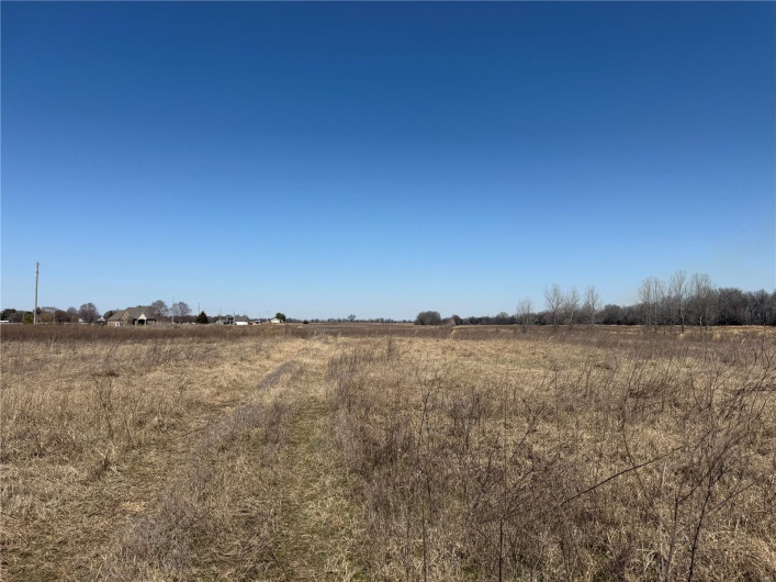 0 County 442 Road, Kennett, Missouri 63857, ,Farm,For Sale,County 442,MAR25014333