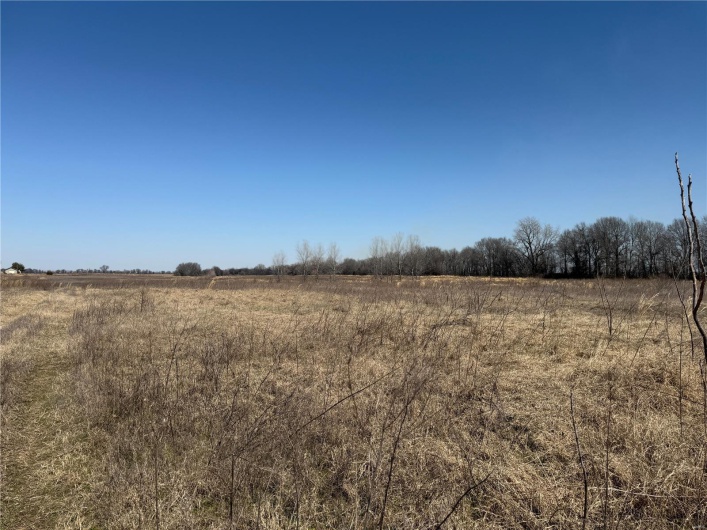 0 County 442 Road, Kennett, Missouri 63857, ,Farm,For Sale,County 442,MAR25014333