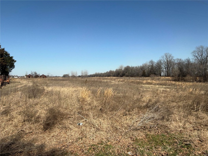 0 County 442 Road, Kennett, Missouri 63857, ,Farm,For Sale,County 442,MAR25014333