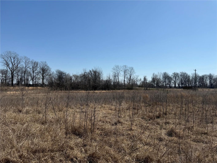 0 County 442 Road, Kennett, Missouri 63857, ,Farm,For Sale,County 442,MAR25014333