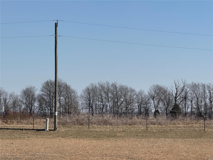 0 County 442 Road, Kennett, Missouri 63857, ,Farm,For Sale,County 442,MAR25014333