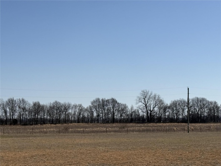 0 County 442 Road, Kennett, Missouri 63857, ,Farm,For Sale,County 442,MAR25014333