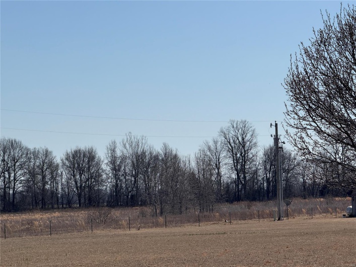 0 County 442 Road, Kennett, Missouri 63857, ,Farm,For Sale,County 442,MAR25014333
