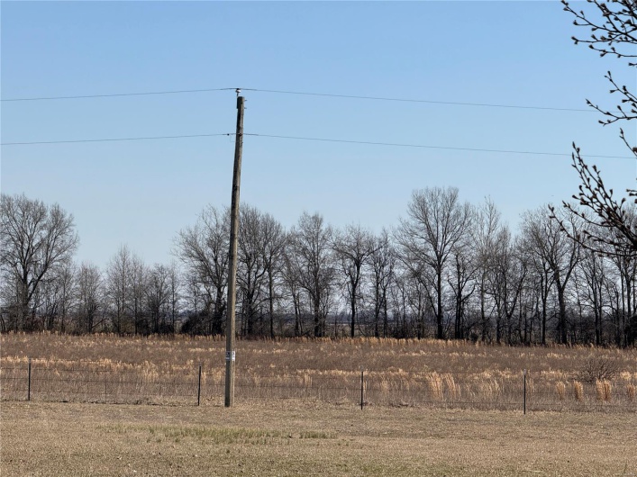 0 County 442 Road, Kennett, Missouri 63857, ,Farm,For Sale,County 442,MAR25014333