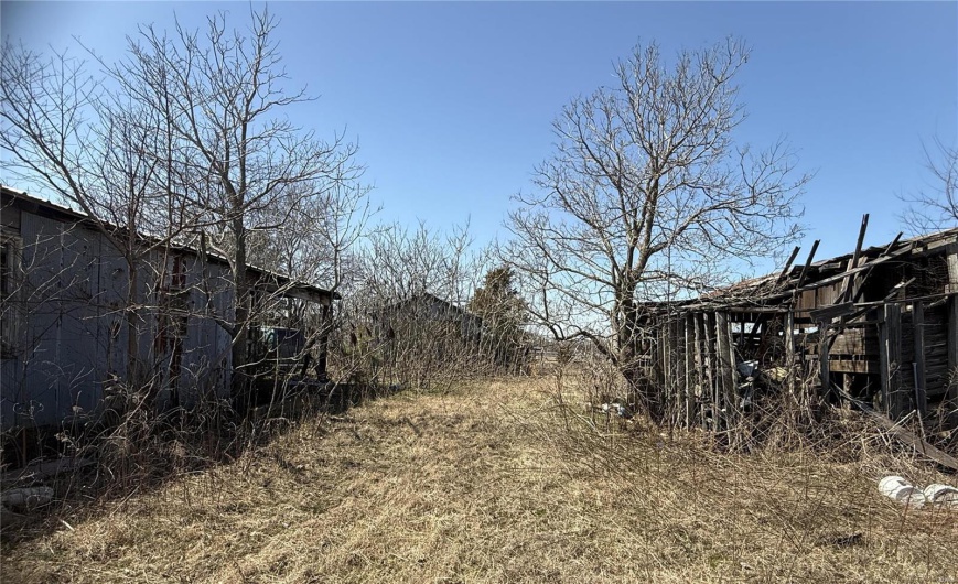 0 County 442 Road, Kennett, Missouri 63857, ,Farm,For Sale,County 442,MAR25014333