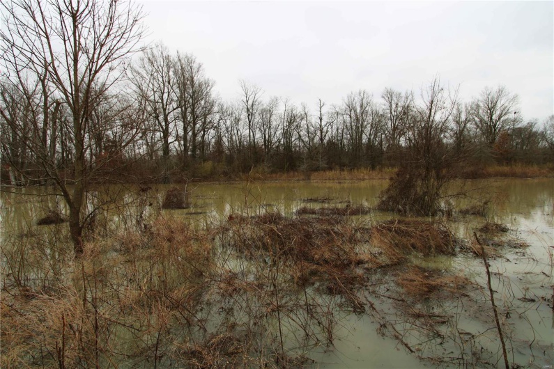 View of landscape featuring a water view