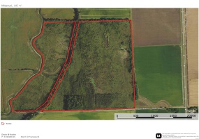 0 County Line Road 832, Sikeston, Missouri 63801, ,Farm,For Sale,County Line Road 832,MAR25014302