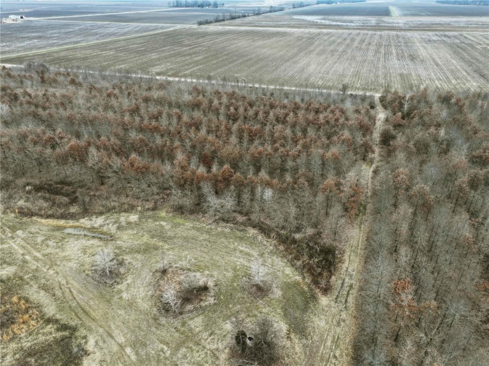 Drone / aerial view featuring a rural view