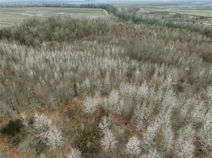 Aerial view featuring a rural view