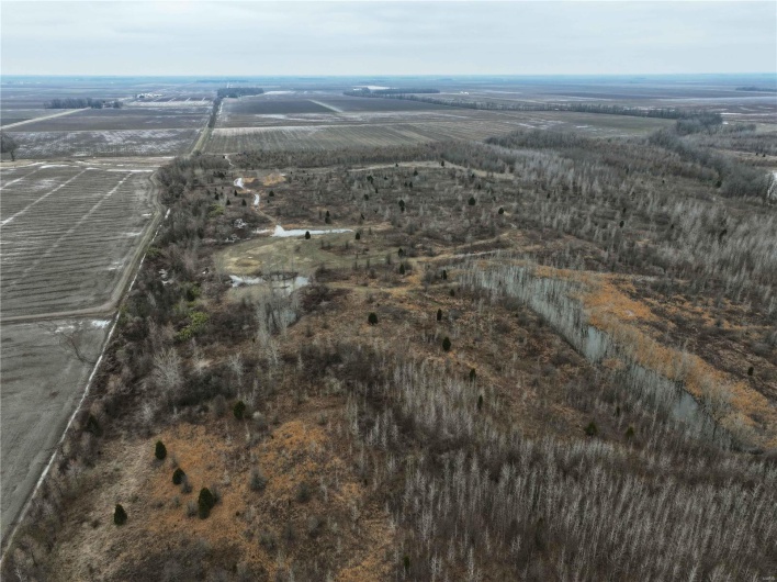 Bird's eye view featuring a rural view