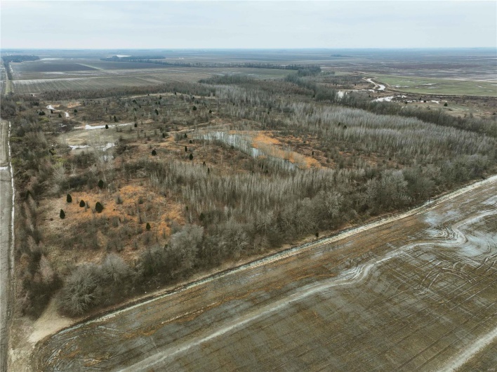 Drone / aerial view featuring a rural view
