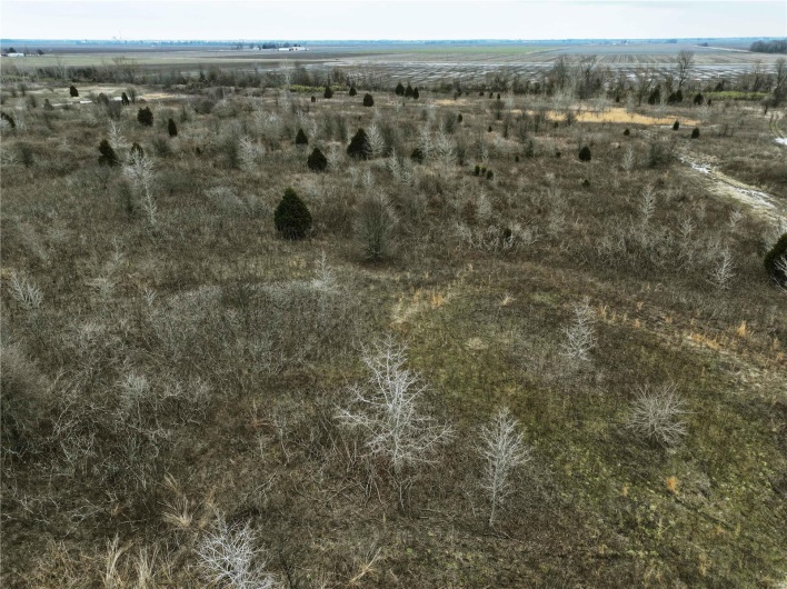 Bird's eye view with a rural view