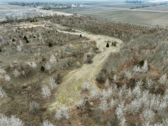 Drone / aerial view featuring a rural view