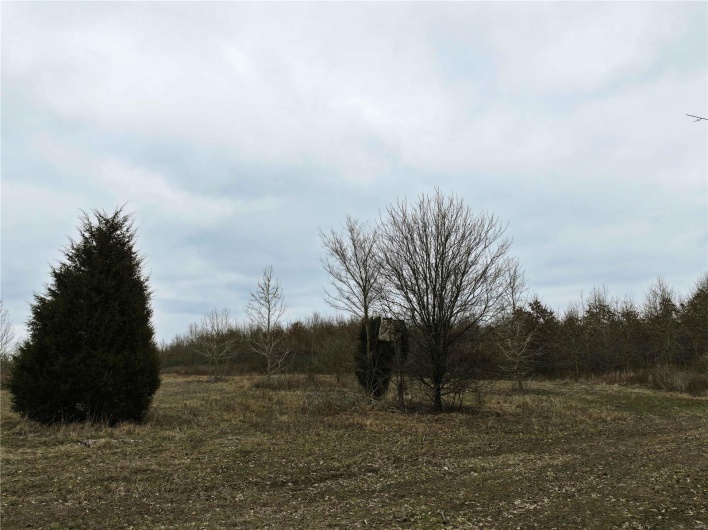View of landscape
