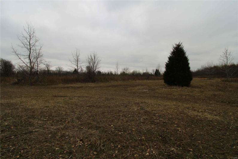 View of local wilderness