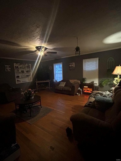 Living room featuring a textured ceiling, crown molding, and wood finished floors