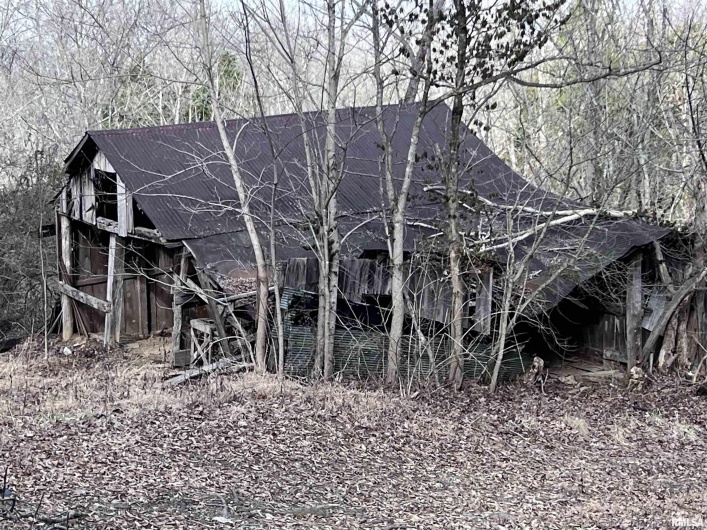 315 Vines Road, Cobden, Illinois 62920, 2 Bedrooms Bedrooms, 0 ,0,Residential,For Sale,Vines,0,RMAEB457077
