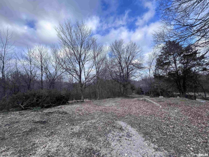 315 Vines Road, Cobden, Illinois 62920, 2 Bedrooms Bedrooms, 0 ,0,Residential,For Sale,Vines,0,RMAEB457077