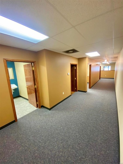 Unfurnished room featuring carpet flooring, baseboards, and a drop ceiling