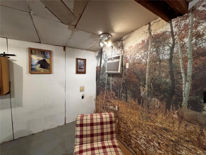 0 County Road 224A, Hiram, Missouri 63951, 2 Bedrooms Bedrooms, 5 Rooms Rooms,1 BathroomBathrooms,Farm,For Sale,County Road 224A,MAR25014605