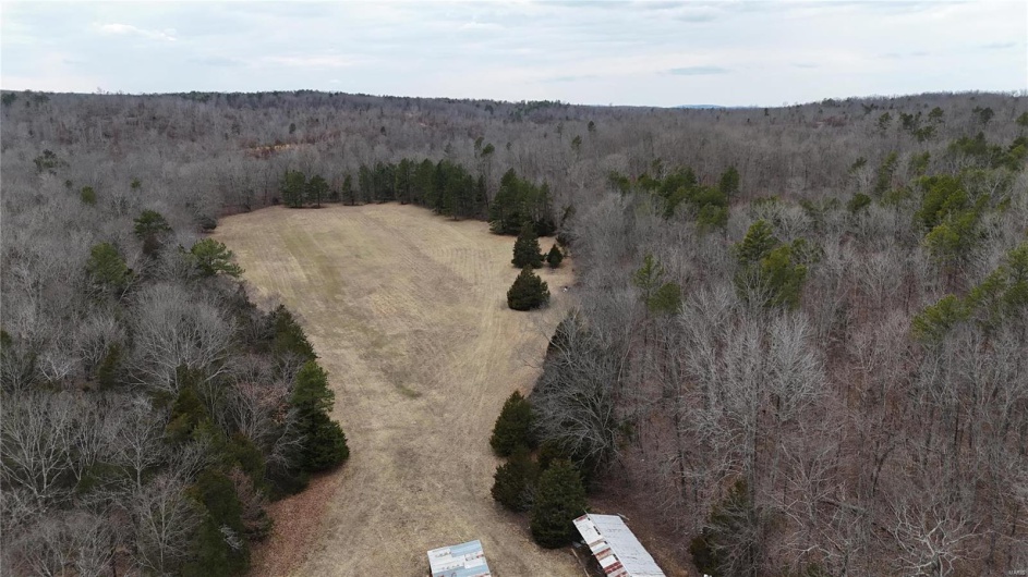 Birds eye view of property with a view of trees