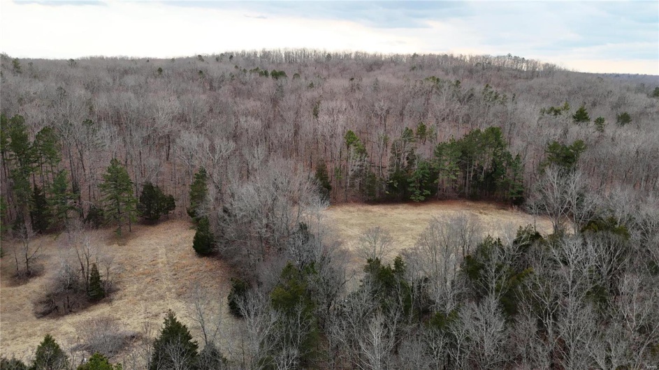 Aerial view featuring a view of trees