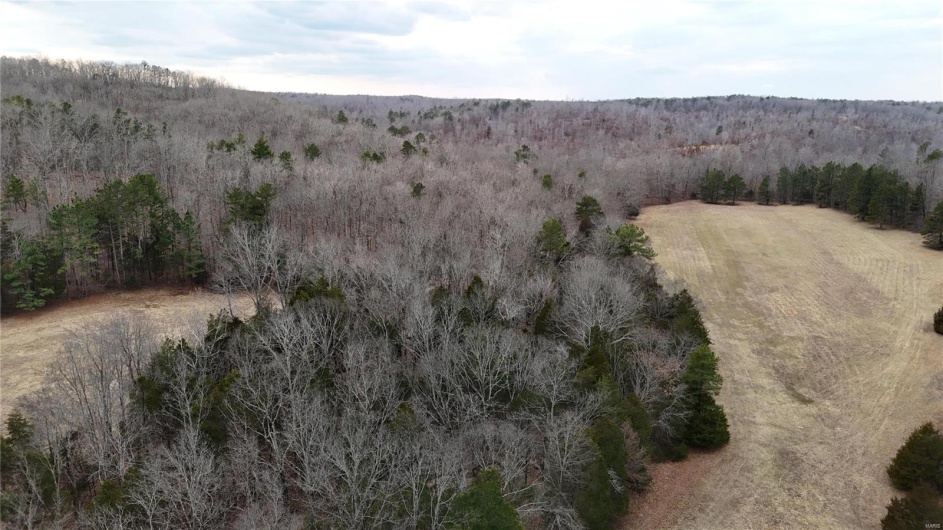 Birds eye view of property featuring a view of trees