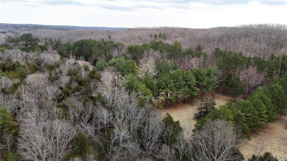 Aerial view with a wooded view