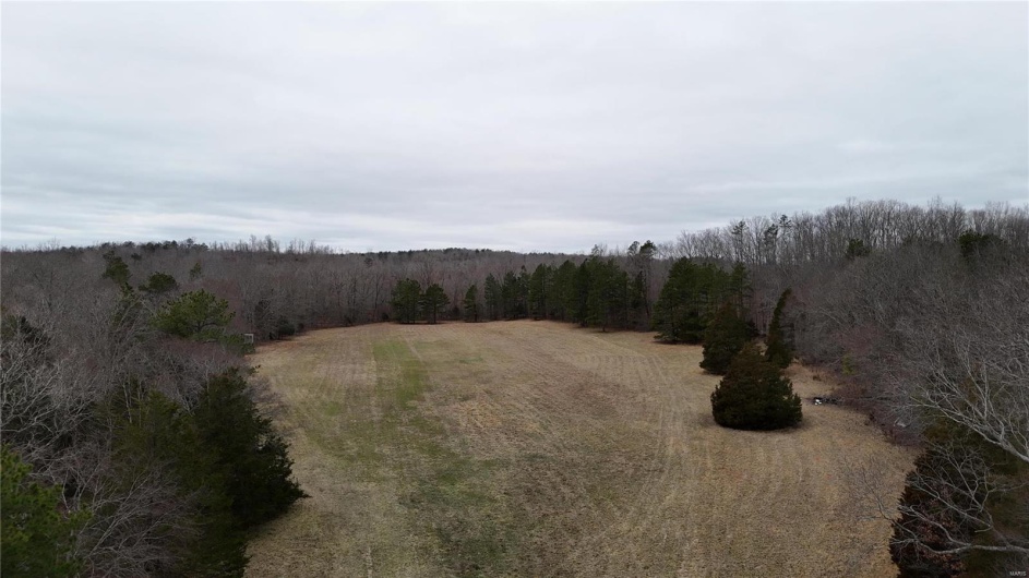View of nature featuring a wooded view